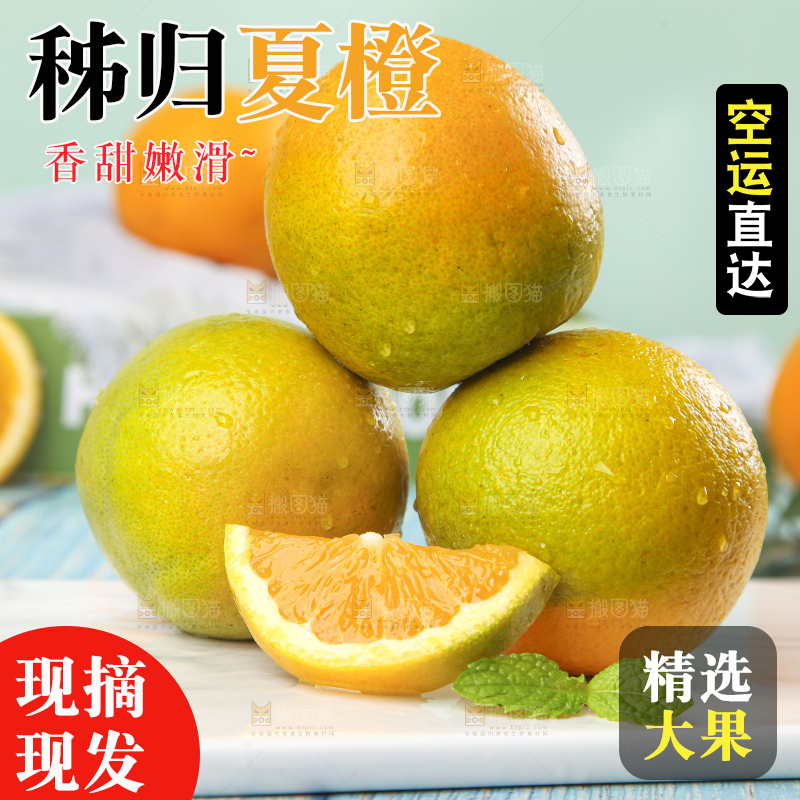 浅底上放着切开的秭归夏橙