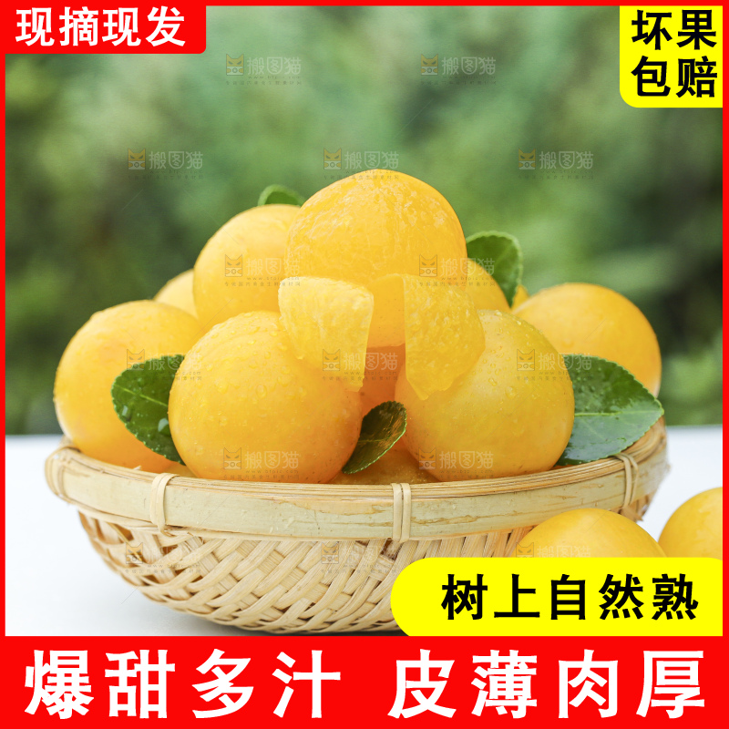 石板上放着一筐黄金奈李