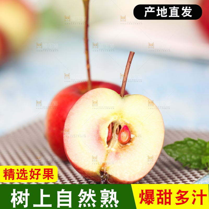 浅底上的东北海棠果