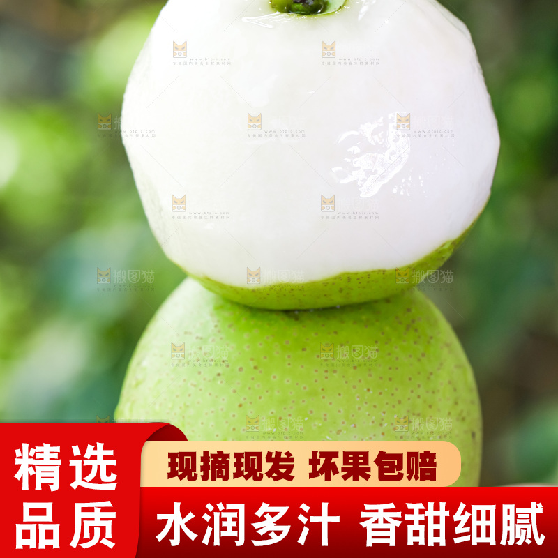 手拿砀山青皮翠冠梨