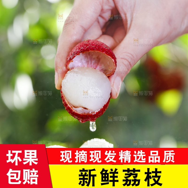 手端一盘荔枝