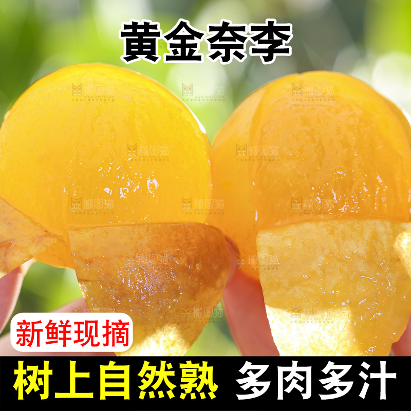 手拿剥皮的九峰山黄金奈李