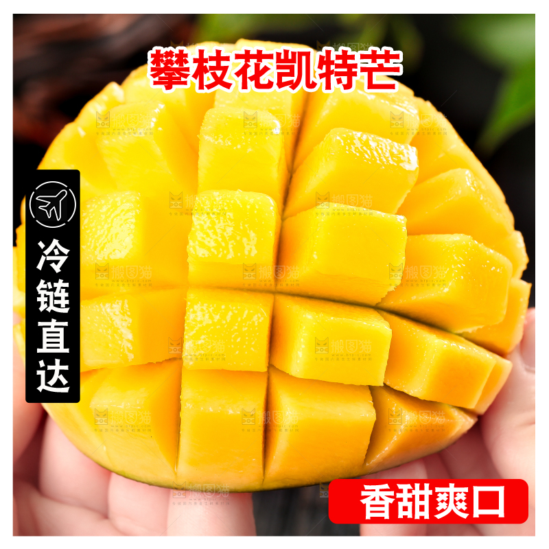 凯特芒主图