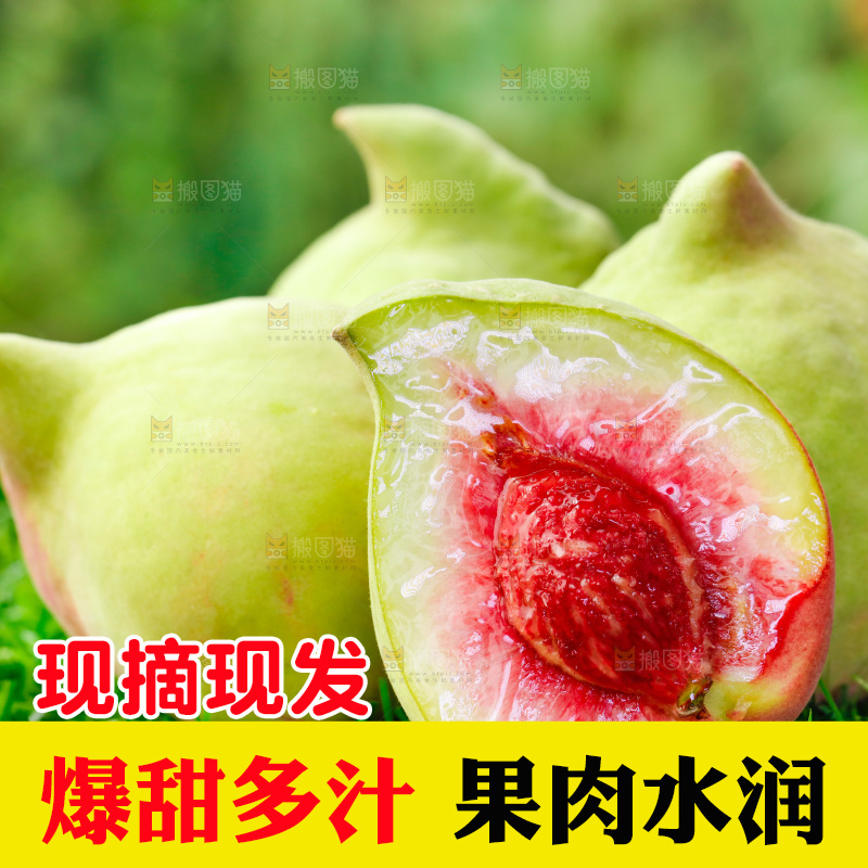 草地上的鹰嘴水蜜桃