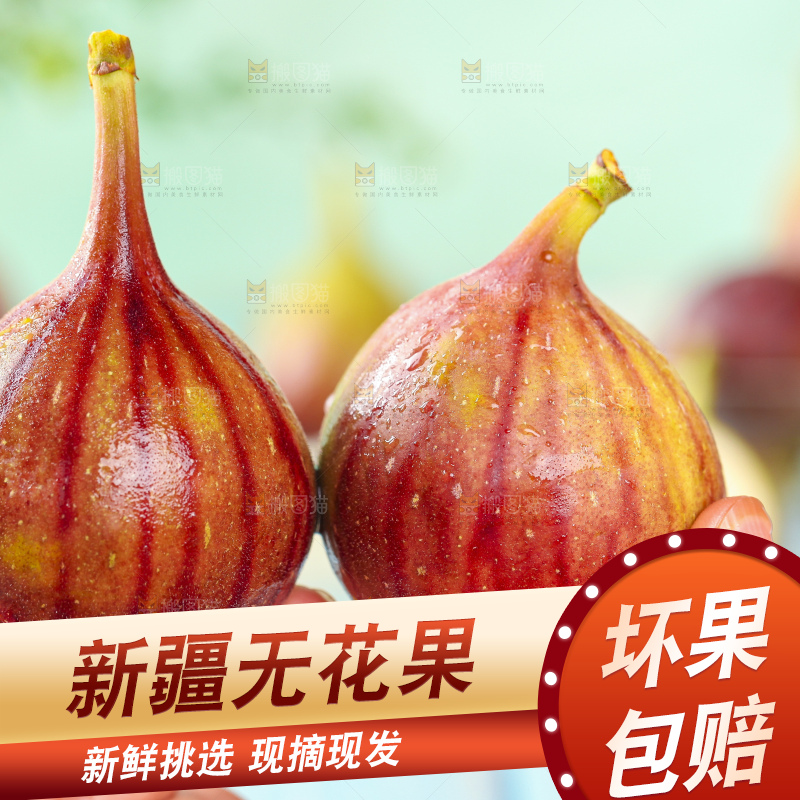 手拿紫皮无花果