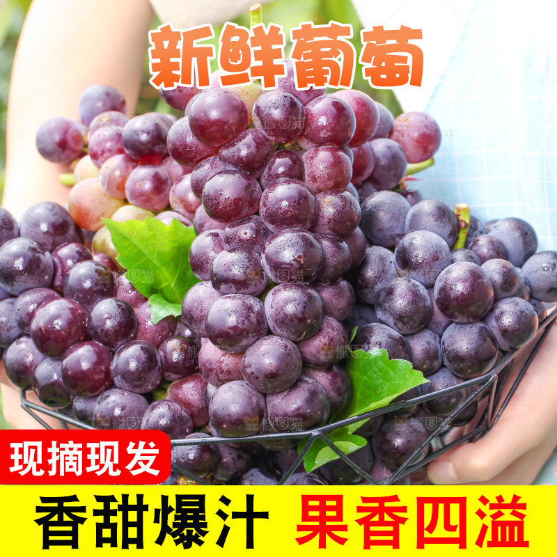 手拿一筐东北巨峰葡萄