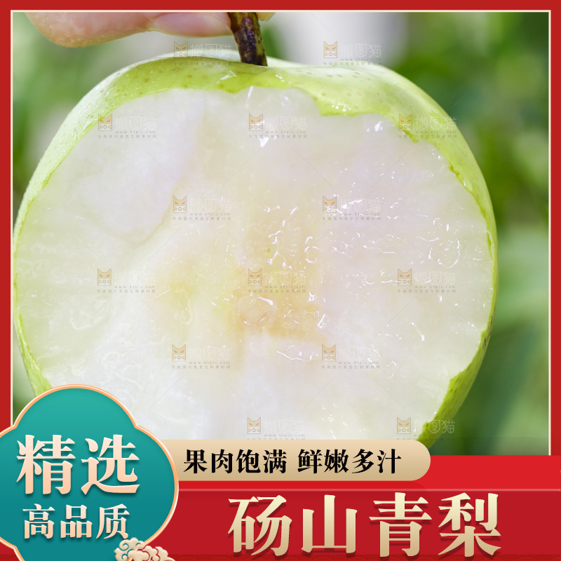 手拿的砀山青皮皇冠梨