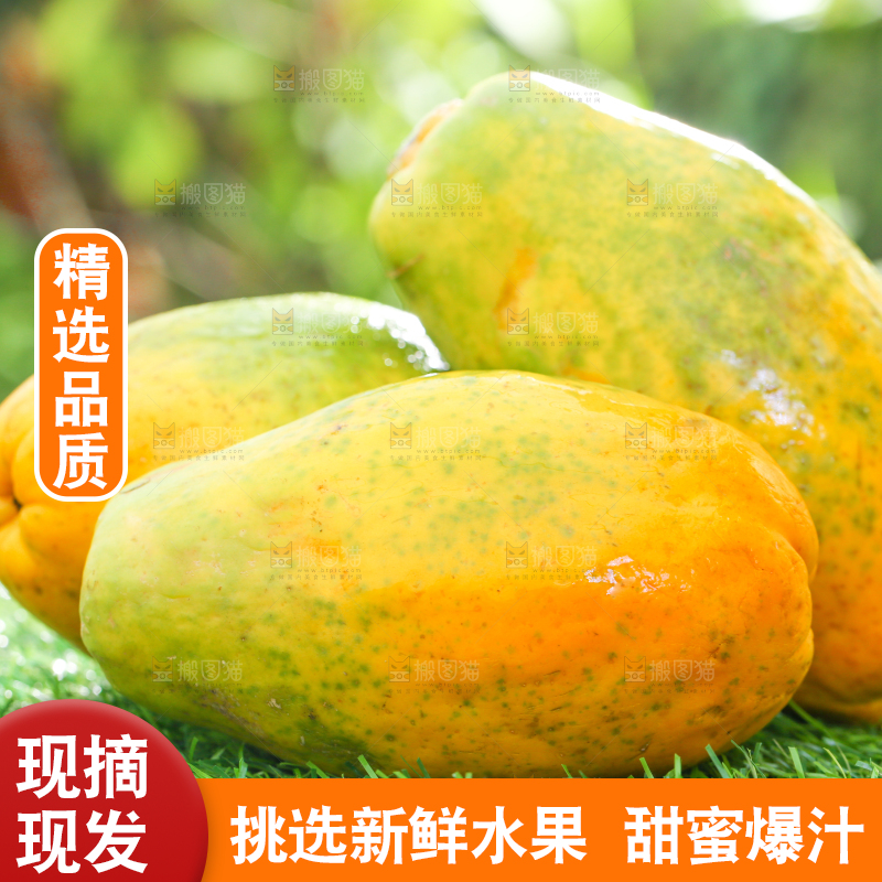 草地上放着木瓜