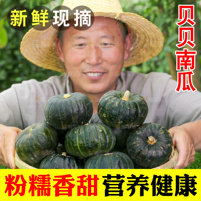 农民端着一盘板栗贝贝南瓜