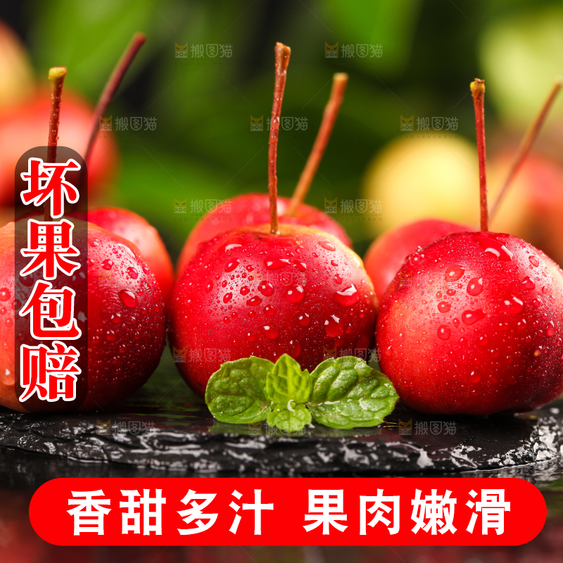 黑石板上的野生海棠果