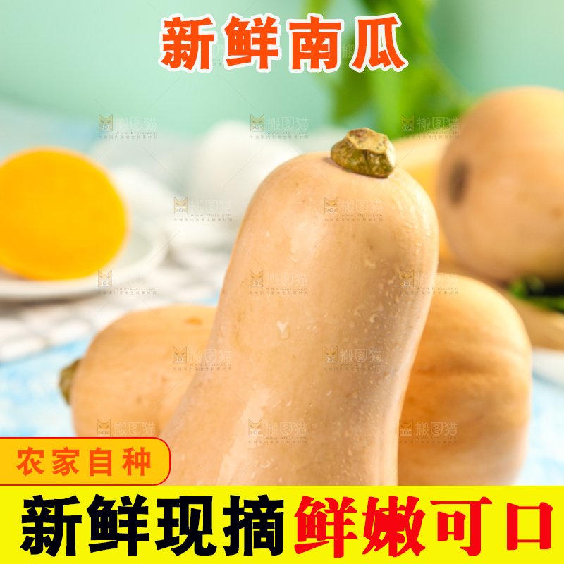 蓝底上放着一盘奶油南瓜