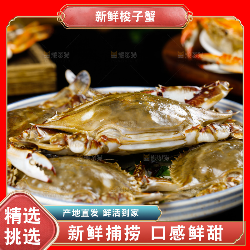 黑底上放着一盘梭子蟹