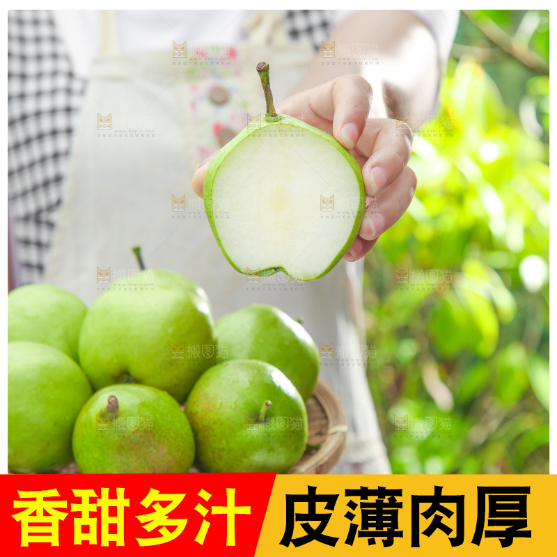 手端一盘陕西早酥梨