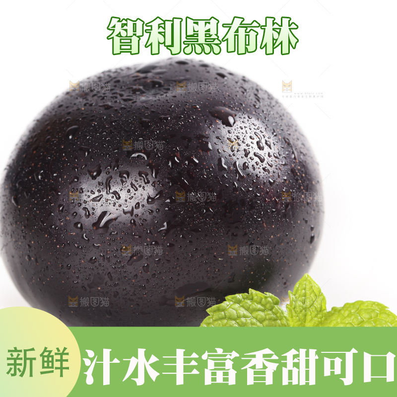 白底上的黄肉黑布李