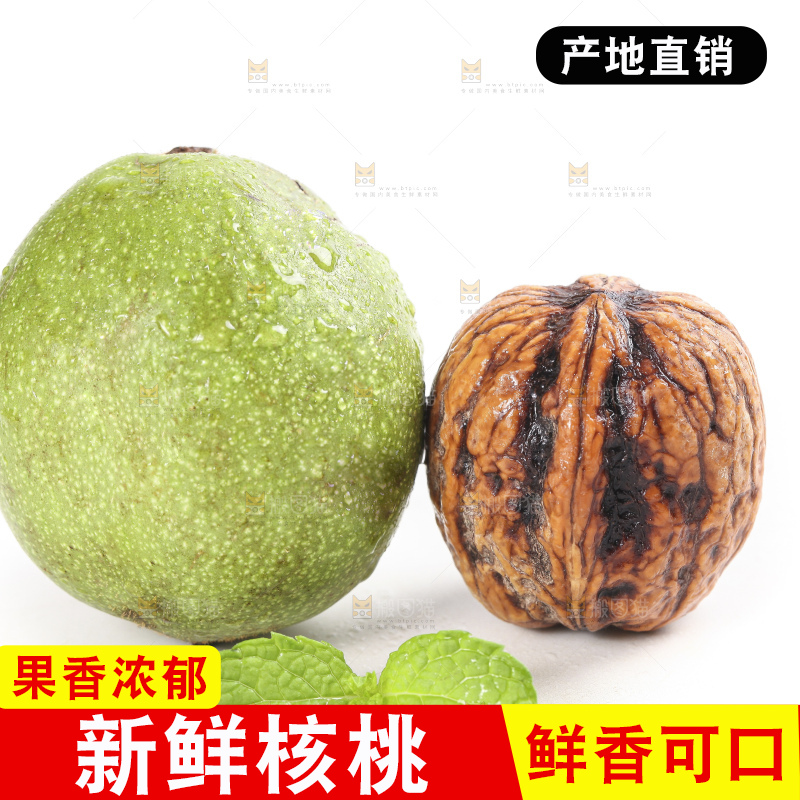 白底上的新鲜湿核桃
