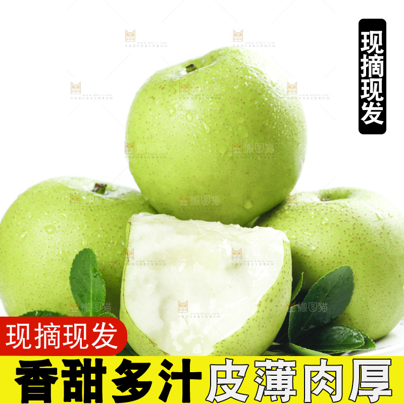 一盘砀山青皮翠冠梨放在白底上