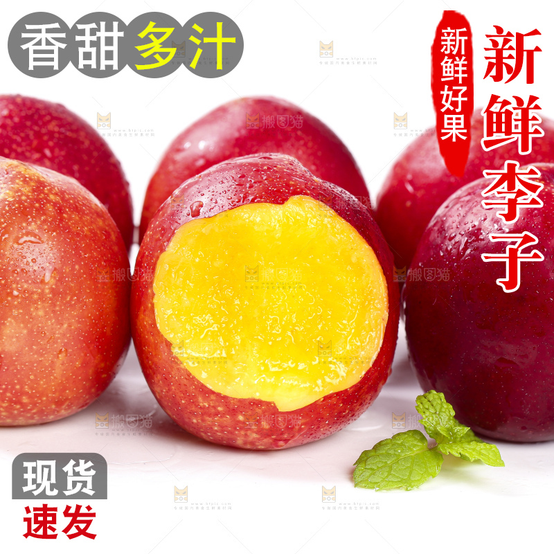 白底上的智利珍珠李