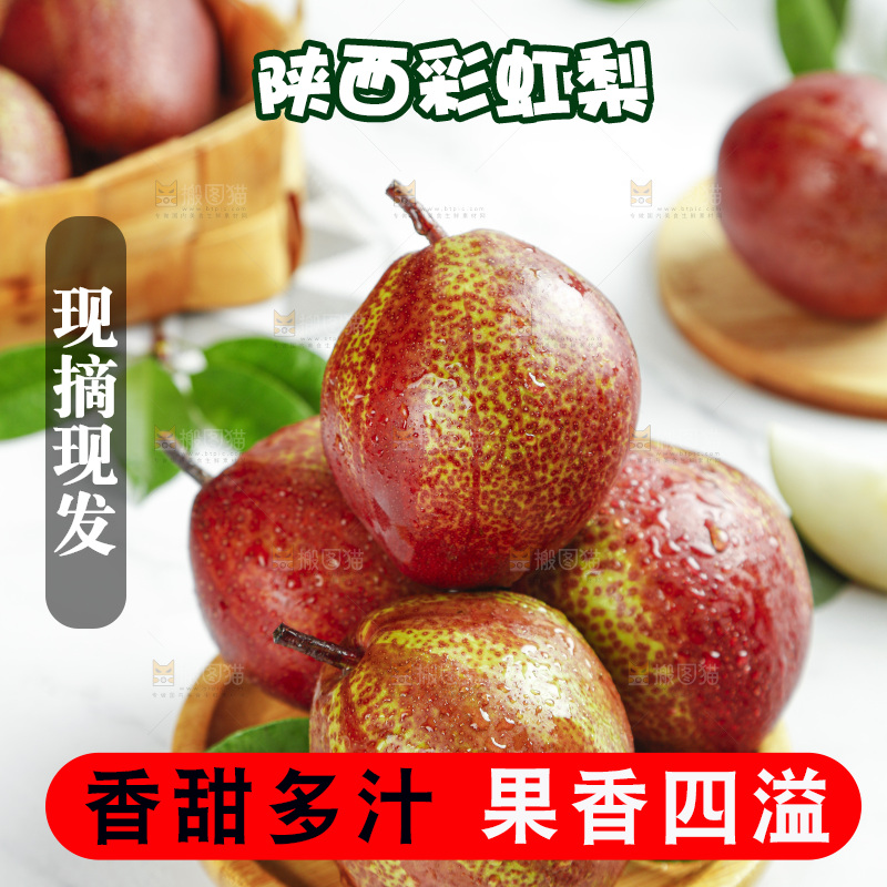 浅底上的陕西彩虹梨