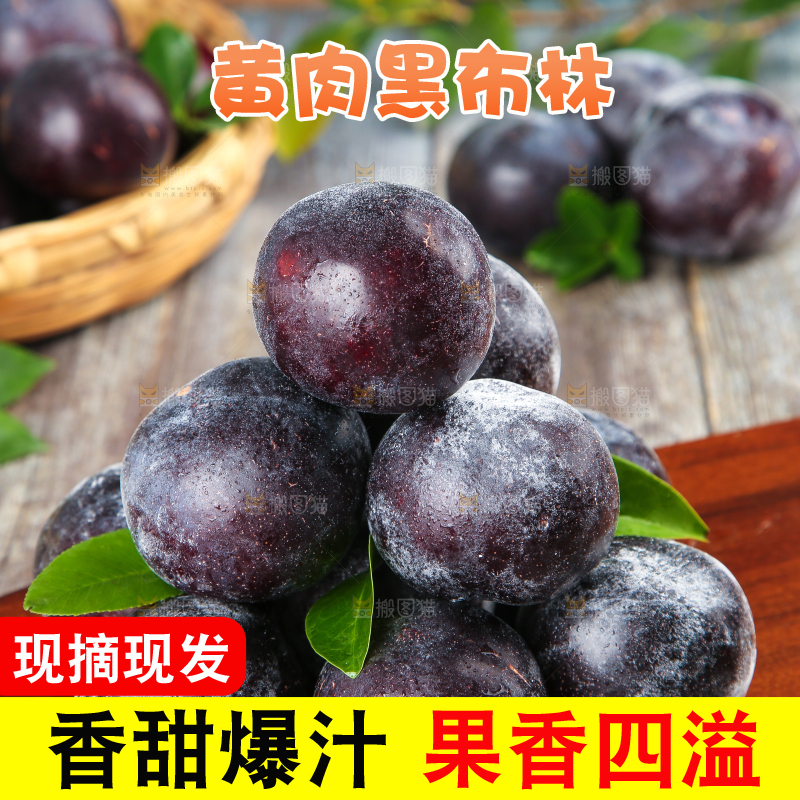 木底上放着智利黑布林