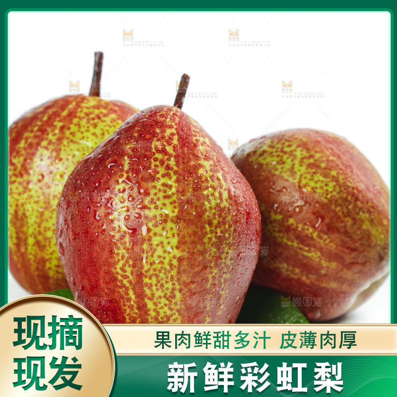 白底上的彩虹梨