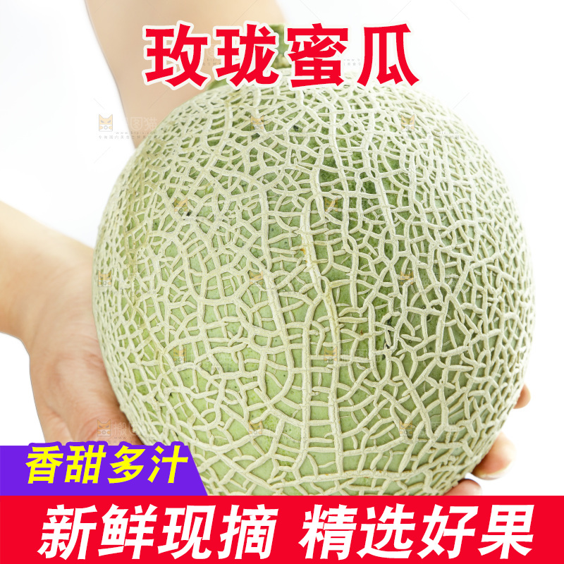 手拿玫珑瓜