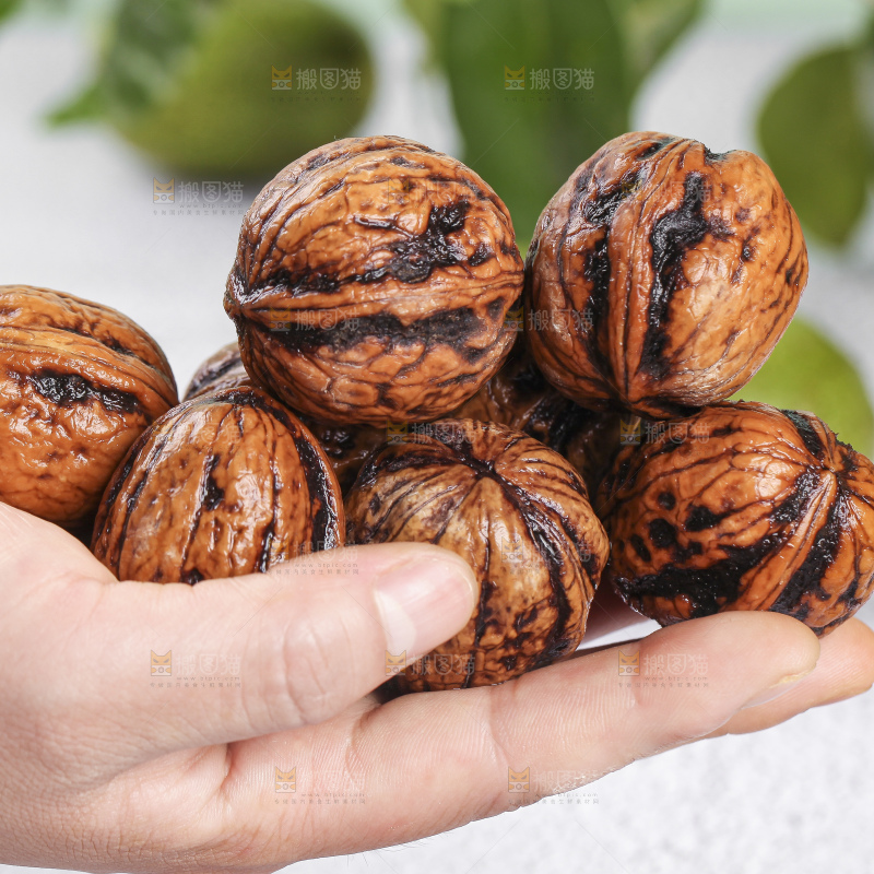 手拿新鲜去皮湿核桃