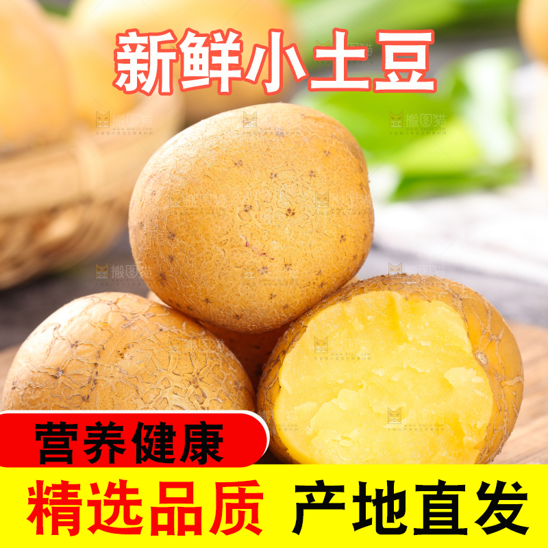 木底上的云南黄心小土豆