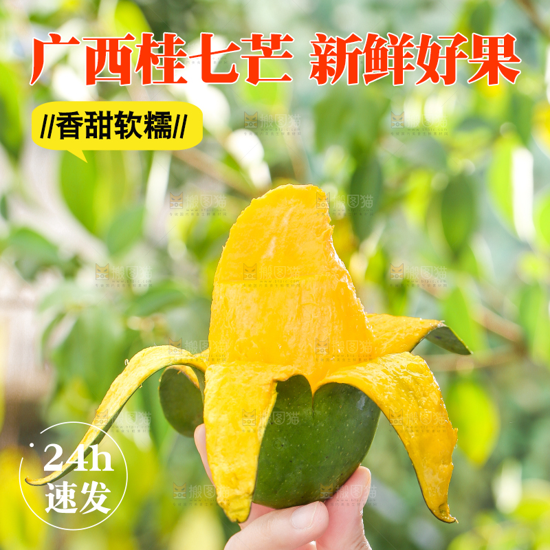 手拿剥皮的桂七芒