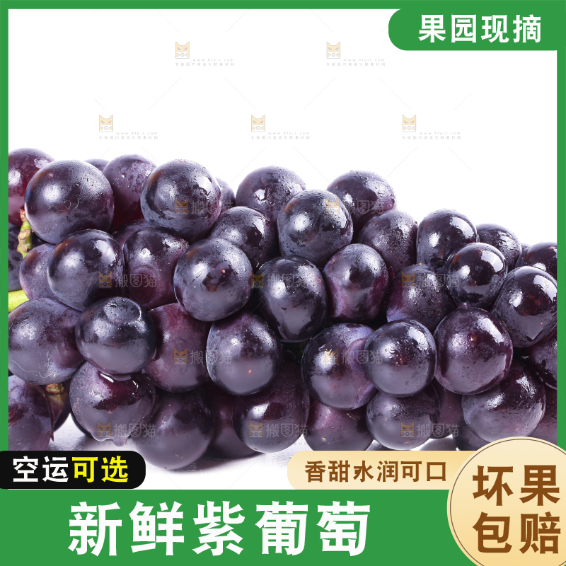 白底上的新鲜巨峰葡萄