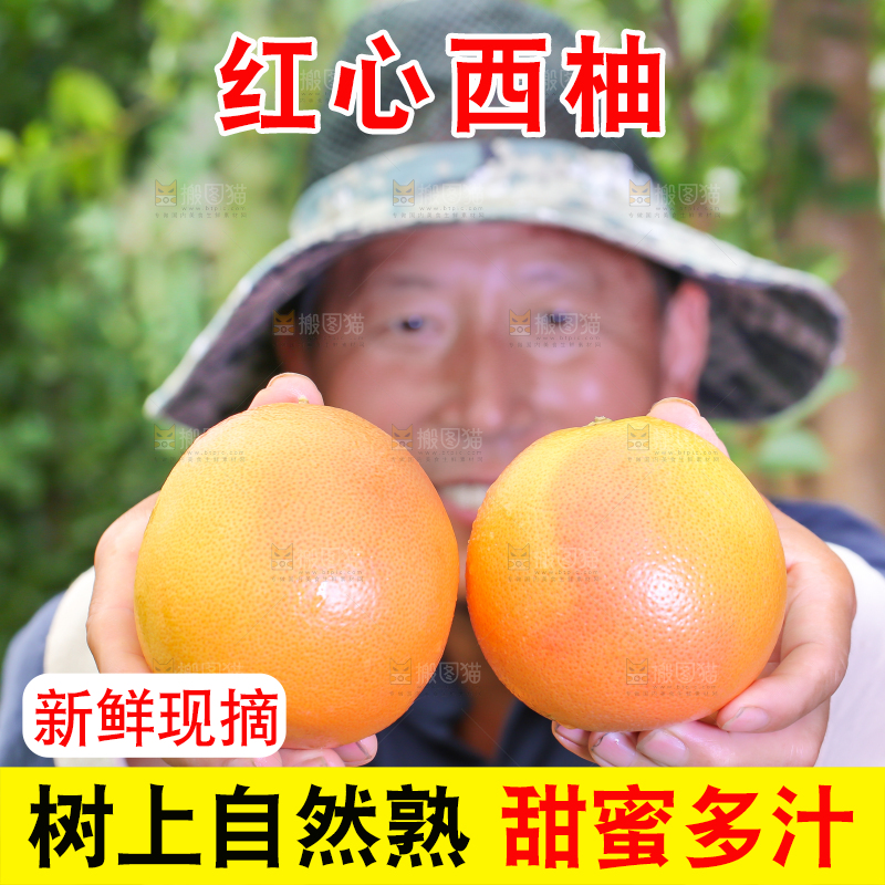 农民手里拿着南非西柚