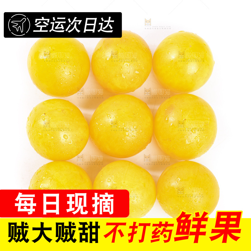 白底上的九峰山黄金奈李