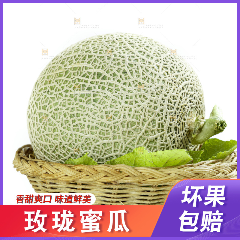 白底上的玫珑瓜
