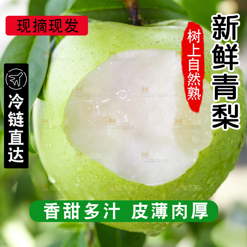手拿砀山青皮翠冠梨