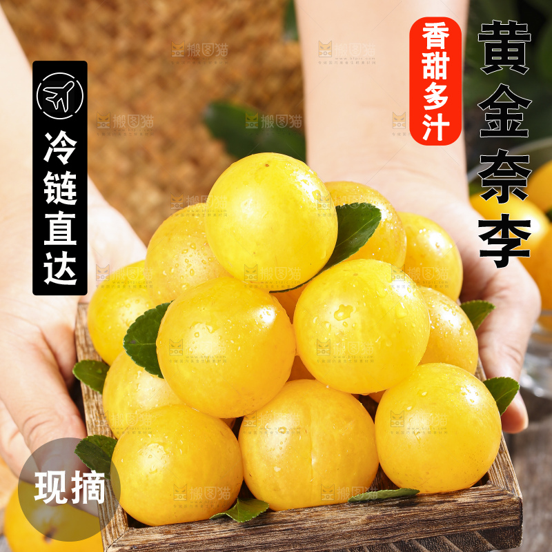 手端一盘九峰山黄金奈李