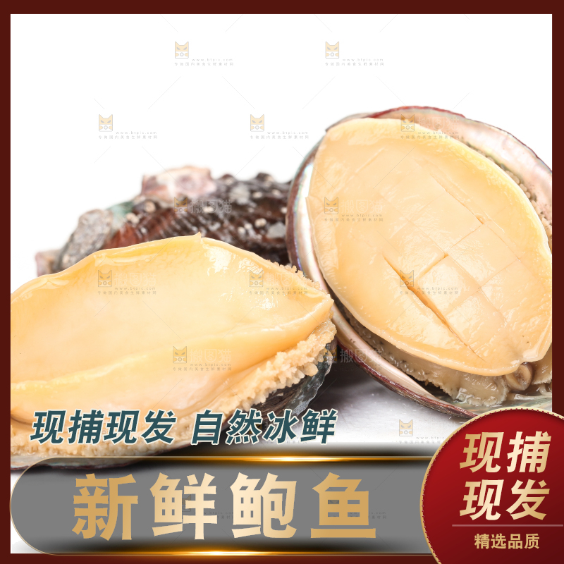 白底上放着新鲜剥开的鲜鲍鱼