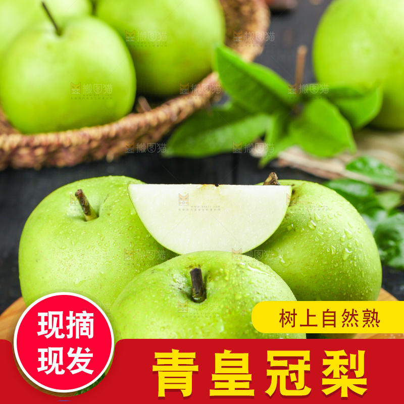 木底上的砀山苹果梨
