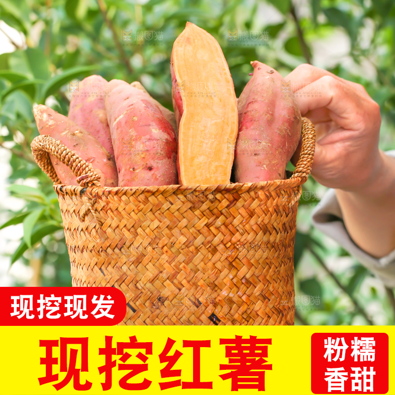手里端着一筐红心红薯