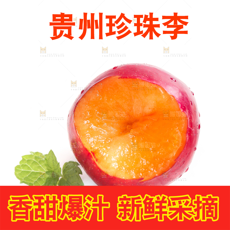 白底上的珍珠李