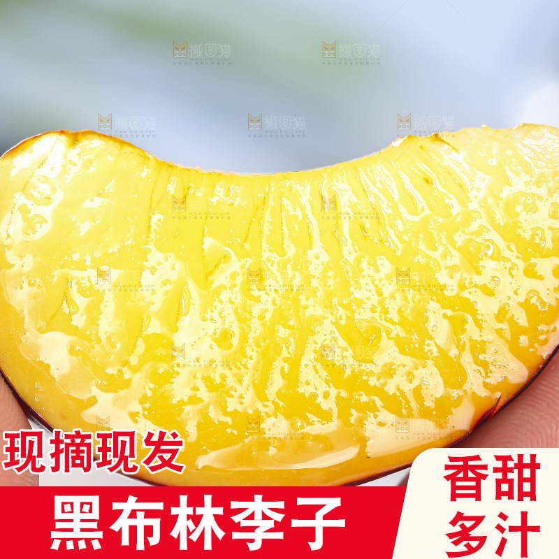 手拿切开的黑布林