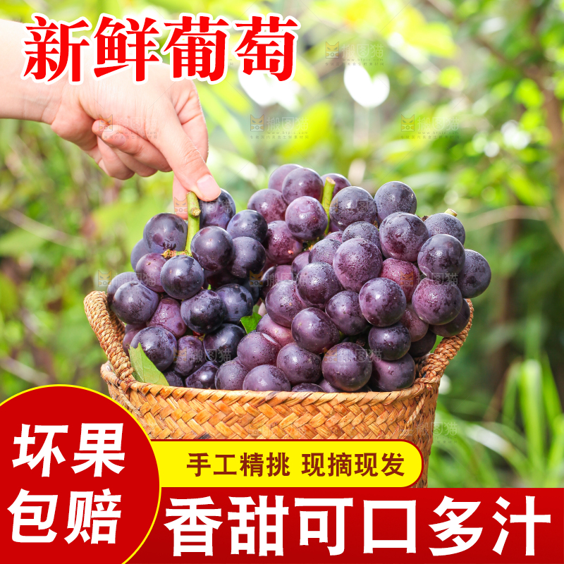 草地上的新鲜葡萄