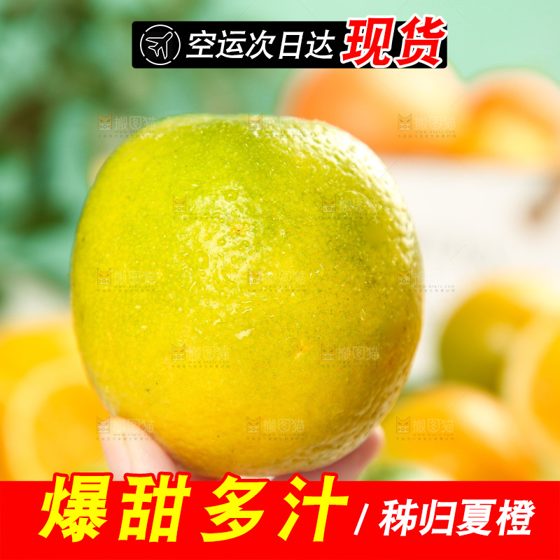 手拿秭归夏橙