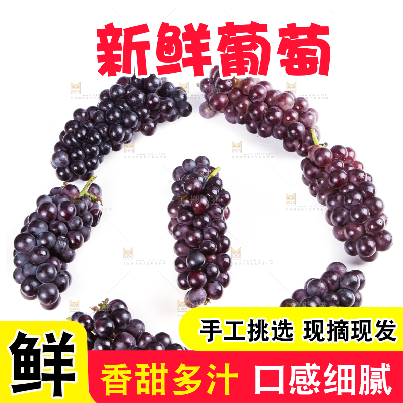白底上的新鲜巨峰葡萄