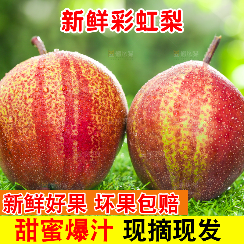 草地上放着早酥红梨子