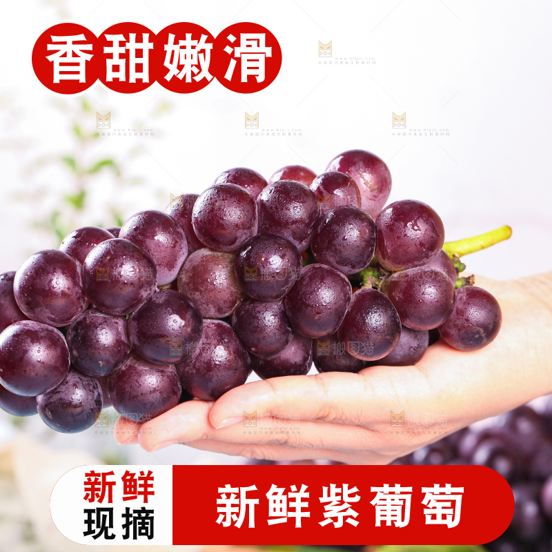 手拿东北巨峰葡萄