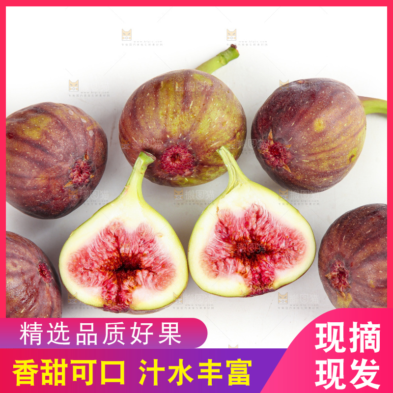 白底上的无花果