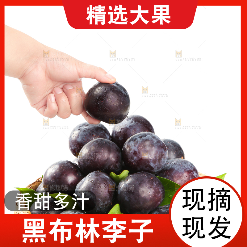 白底上手拿一个黑布林