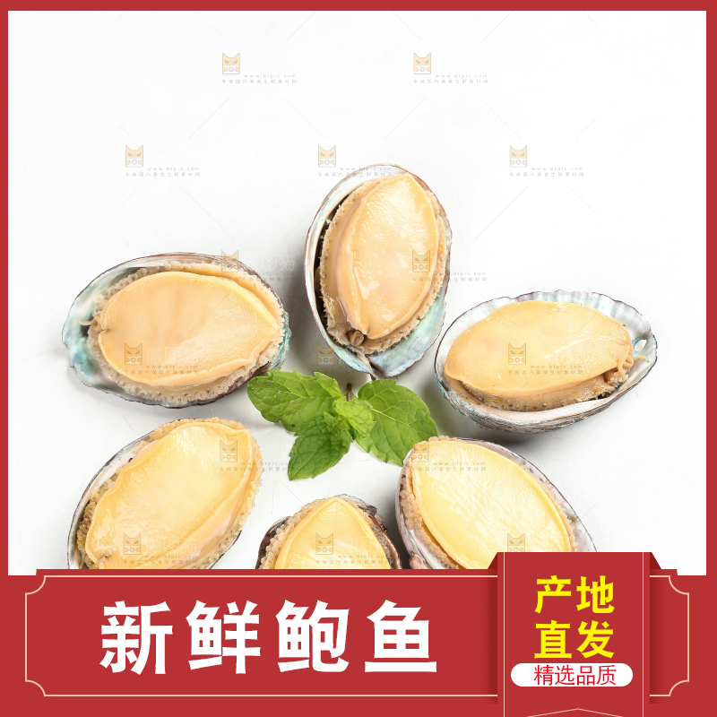 白底上放着鲍鱼