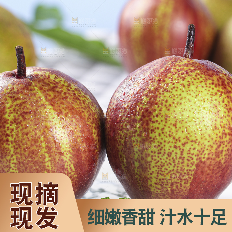 石板上的彩虹梨