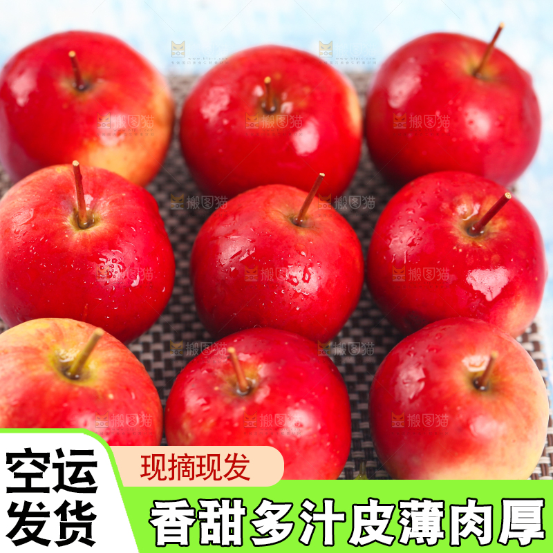 浅底上的东北海棠果