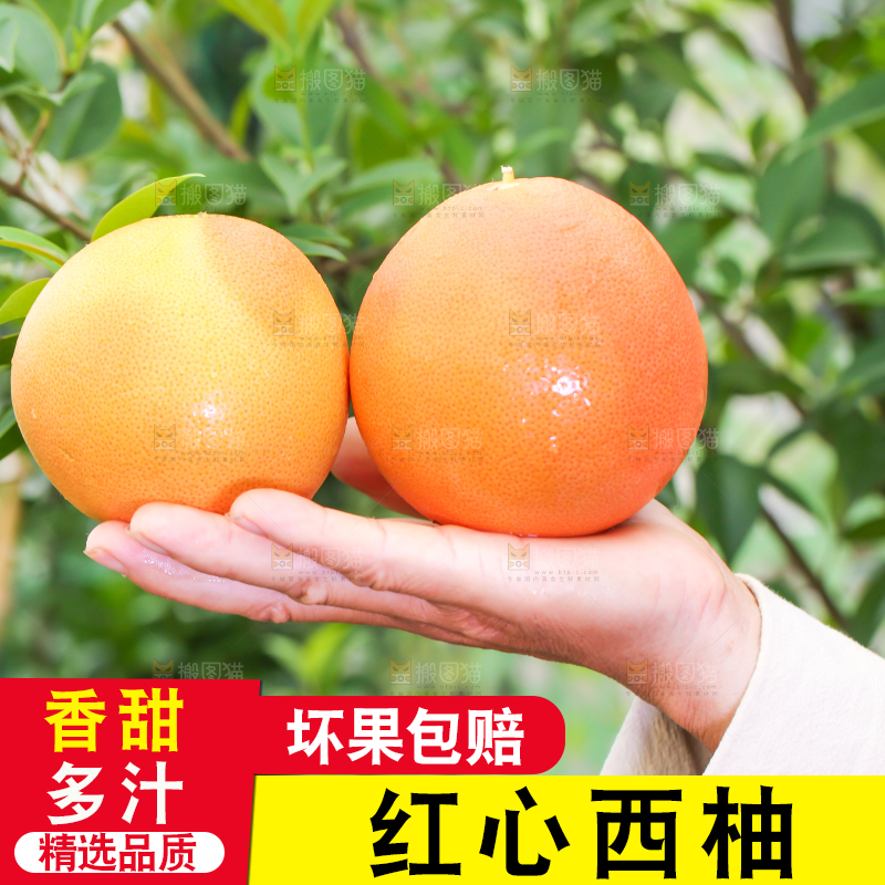 手里拿着南非西柚